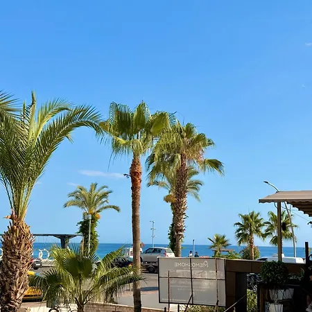 Sa Apartments! Beachfront With Sea View & Pool ألانيا